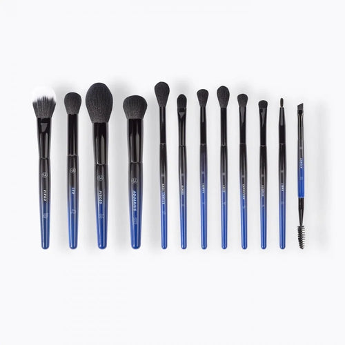 Bh cosmetics mystic zodiac Constellation 12 Piece Face & Eye Brush Set